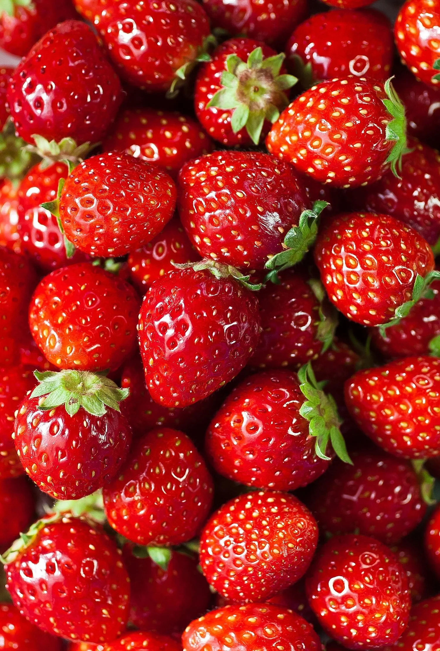 10 Cheap High Fiber Foods & Snacks To Try