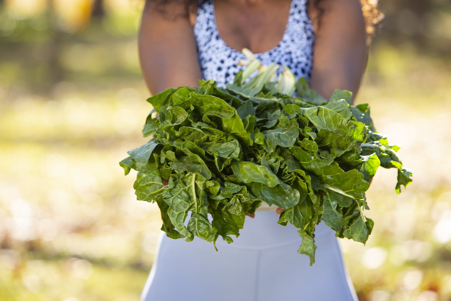 5 foods to eat for better heart health — archive image 1