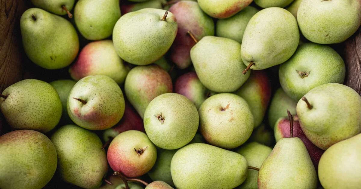 10 Cheap High Fiber Foods & Snacks To Try — archive image 1